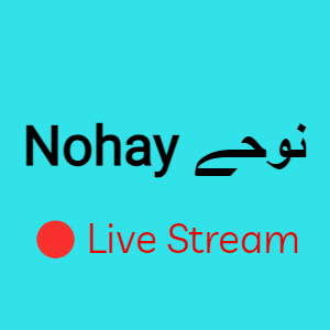 nohay new
